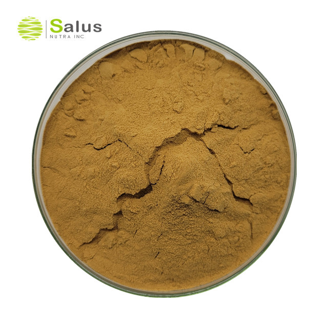 Agaricus Blazei Extract