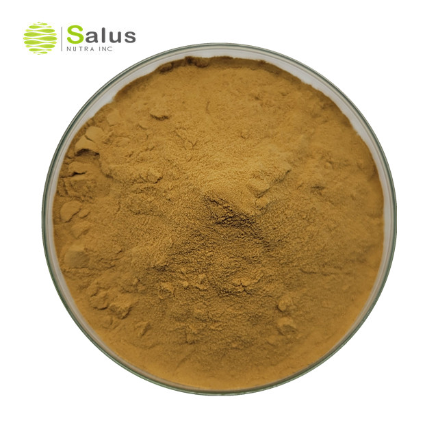 Agaricus Blazei Extract