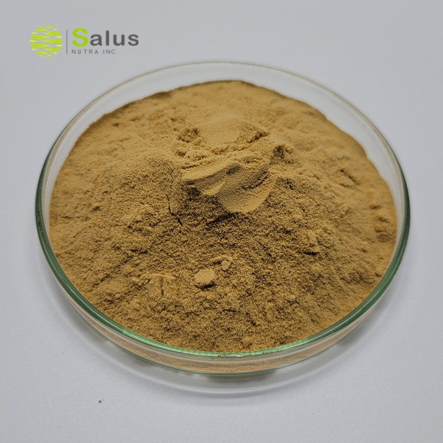 Agrocybe Aegerita Extract