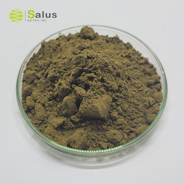 Ajuga Turkestanica Extract