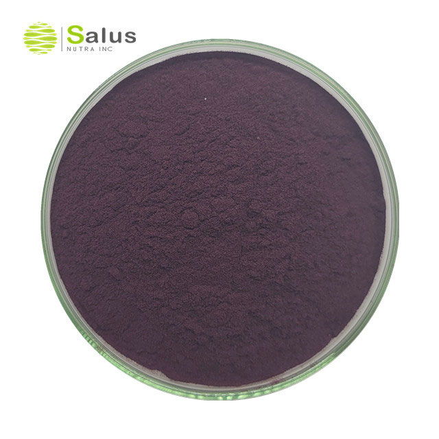 Aronia Chokeberry Extract