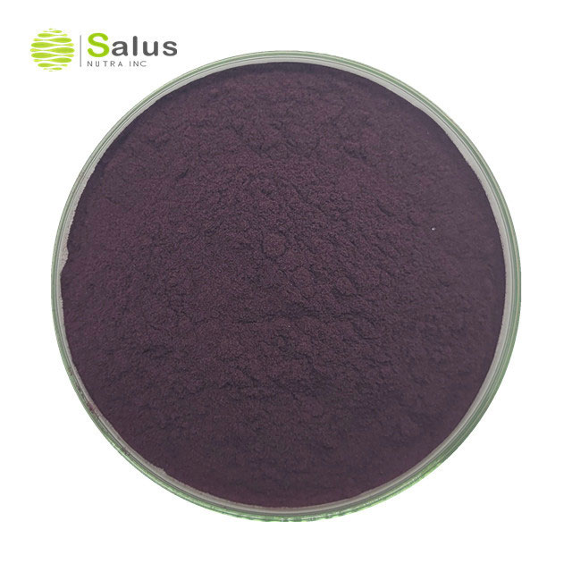 Aronia Chokeberry Extract