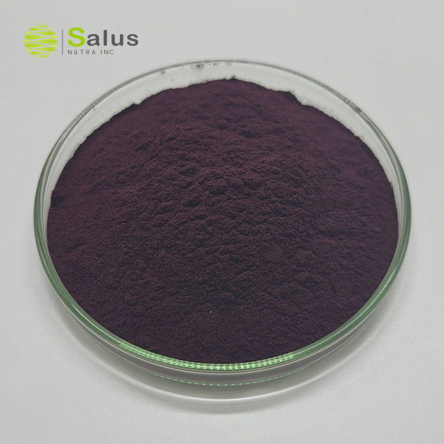 Aronia Chokeberry Extract