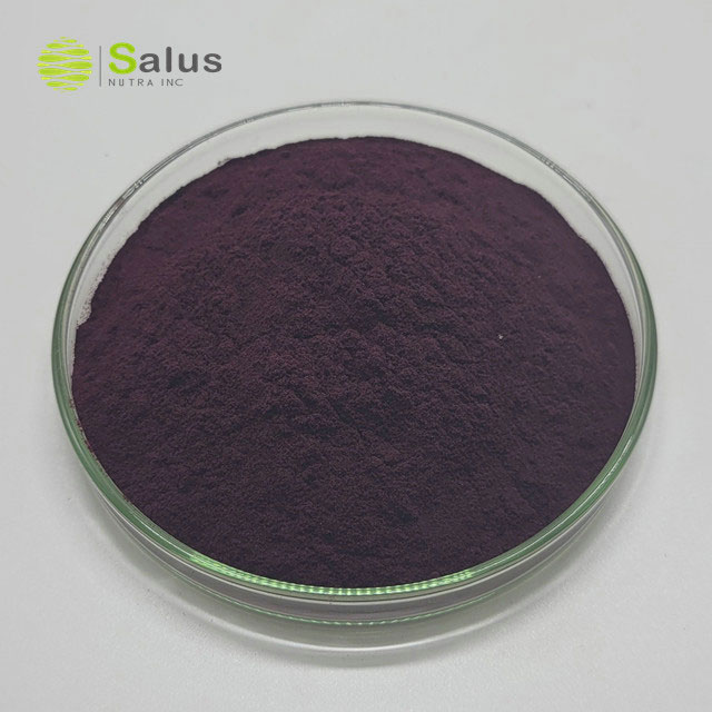 Black Currant Extract