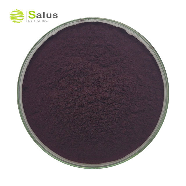 Black Currant Extract