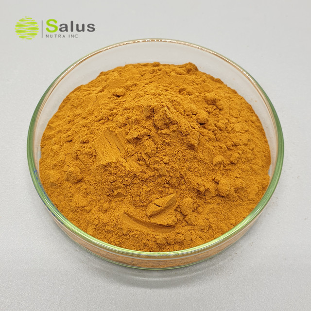 Cordyceps Militaris Extract