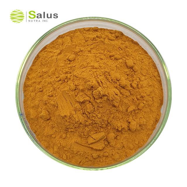 Cordyceps Militaris Extract