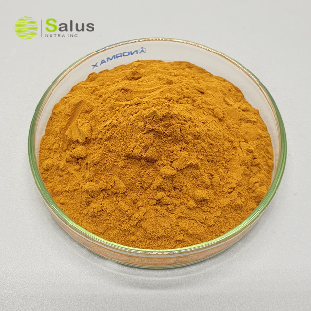 Cordyceps Militaris Extract