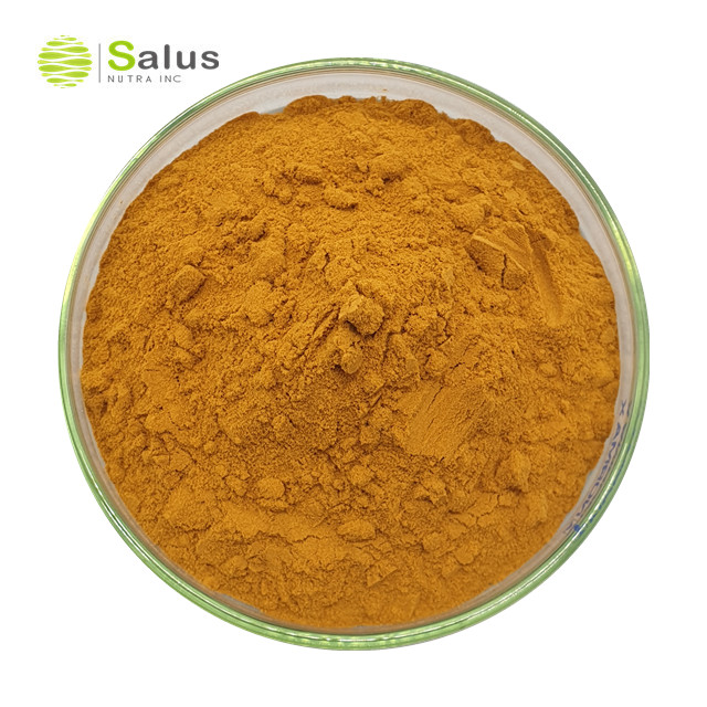 Cordyceps Militaris Extract