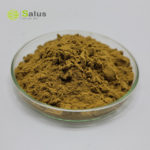 Echinacea Purpurea Extract