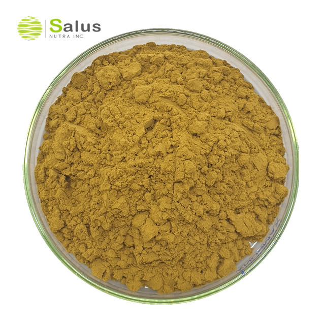 Epimedium Extract