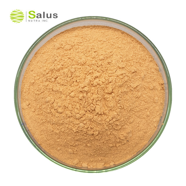 Goji Powder