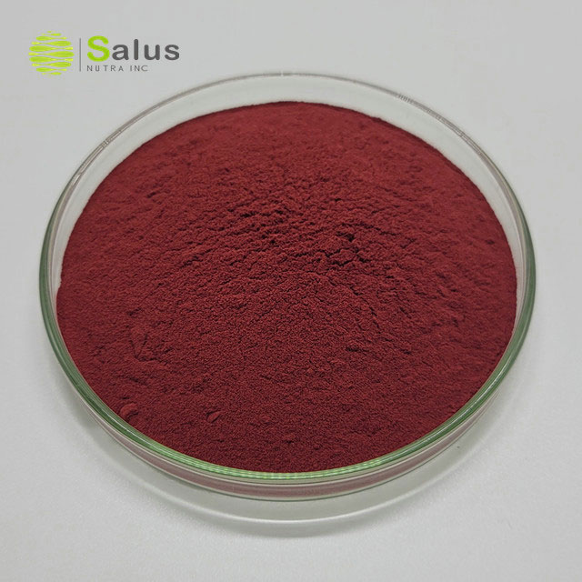 Mulberry Extract