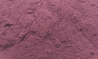 Mulberry Powder