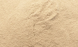 Noni Powder