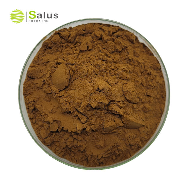 Phellinus Igniarius Extract