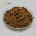 Phellinus Linteus Extract