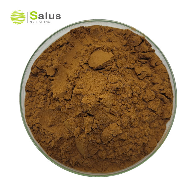 Phellinus Linteus Extract