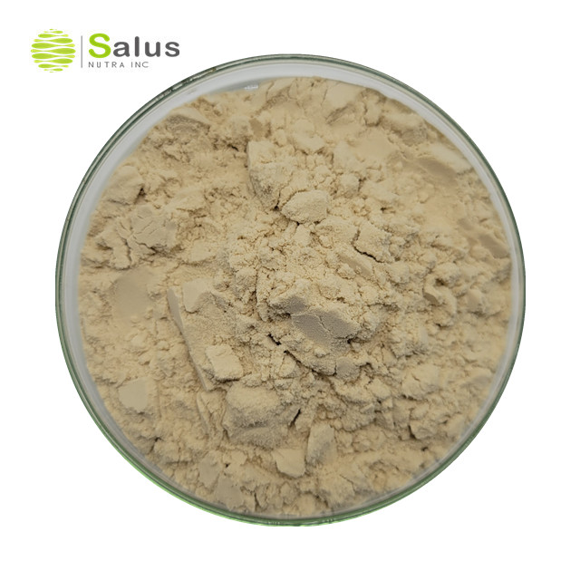 Poria Cocos Extract