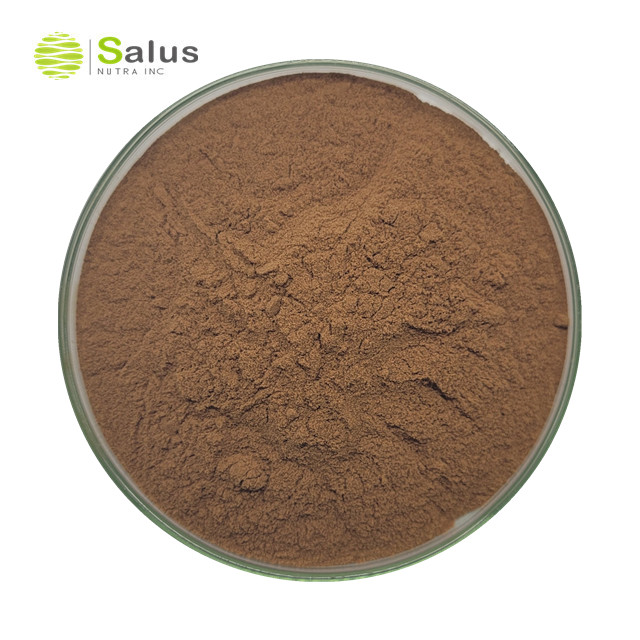 Rhodiola Rosea Extract