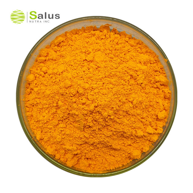 Turmeric Extract