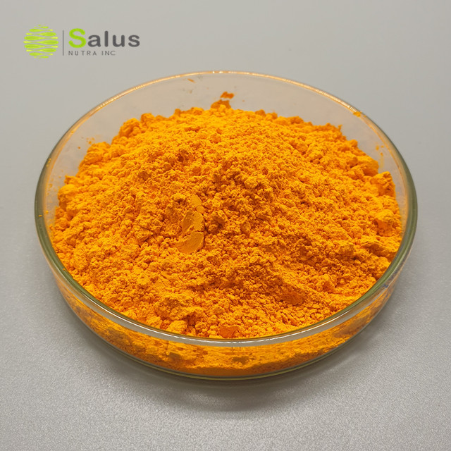 Turmeric Extract