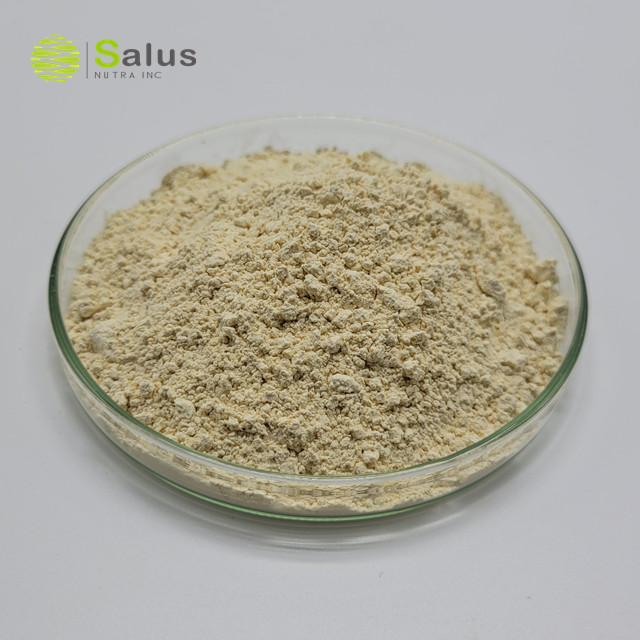 White Willow Bark Extract