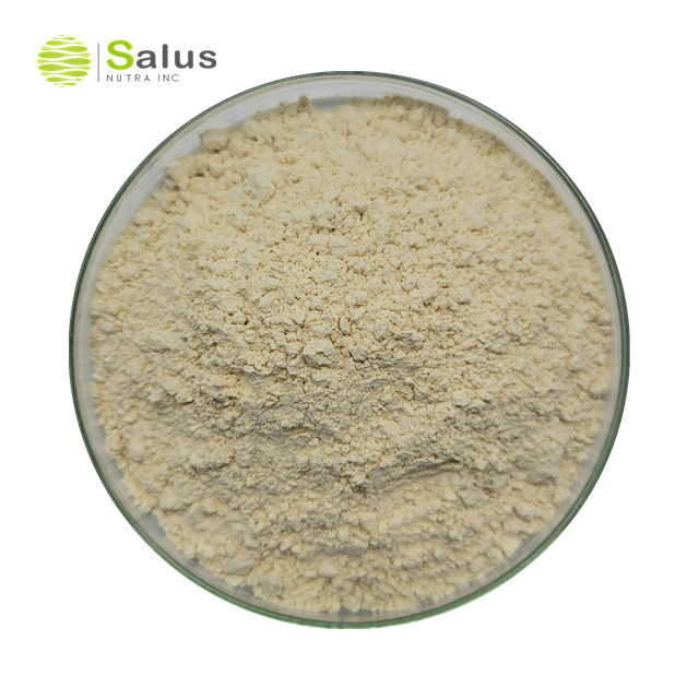 White Willow Bark Extract