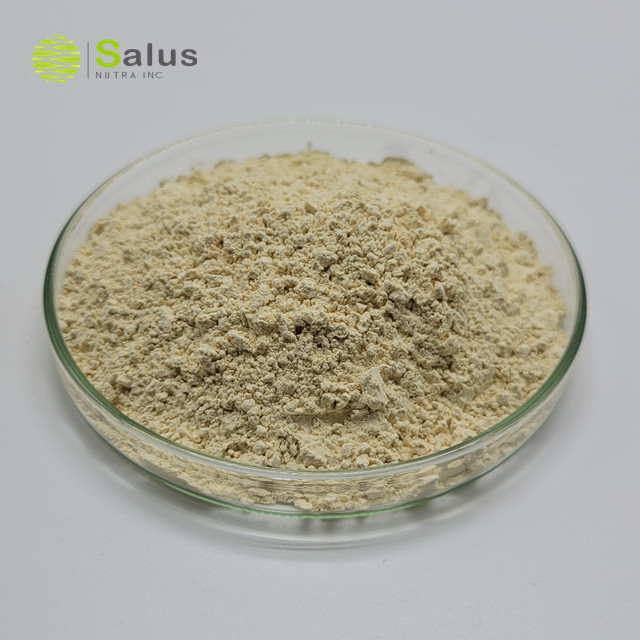 White Willow Bark Extract