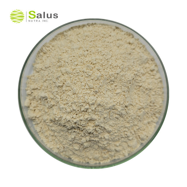 White Willow Bark Extract