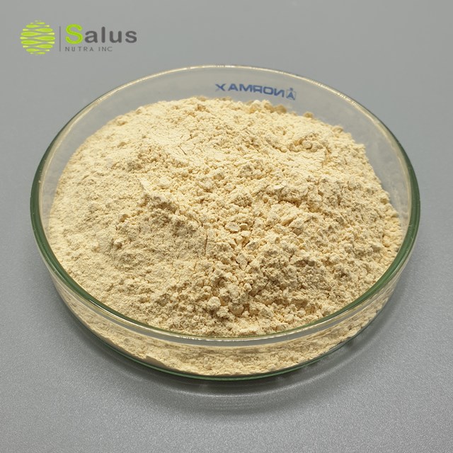 Soybean Extract