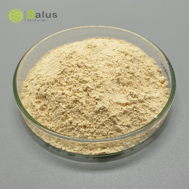 Soybean Extract