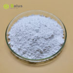 Stevia Extract