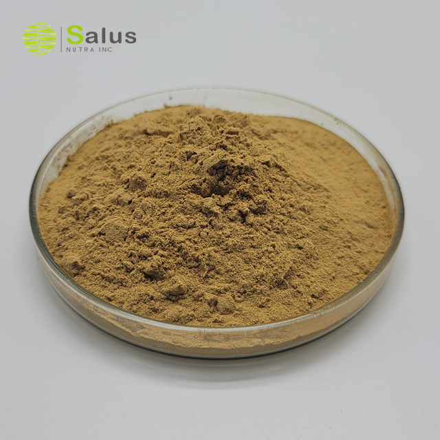 Cassia Seed Extract