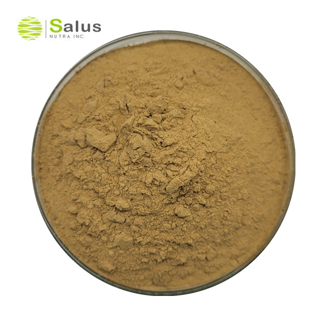 Cassia Seed Extract