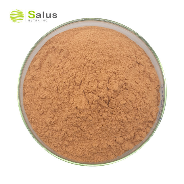 Cinnamon Bark Extract