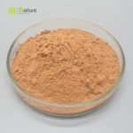 Cinnamon Bark Extract