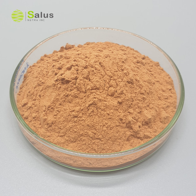 Cinnamon Bark Extract