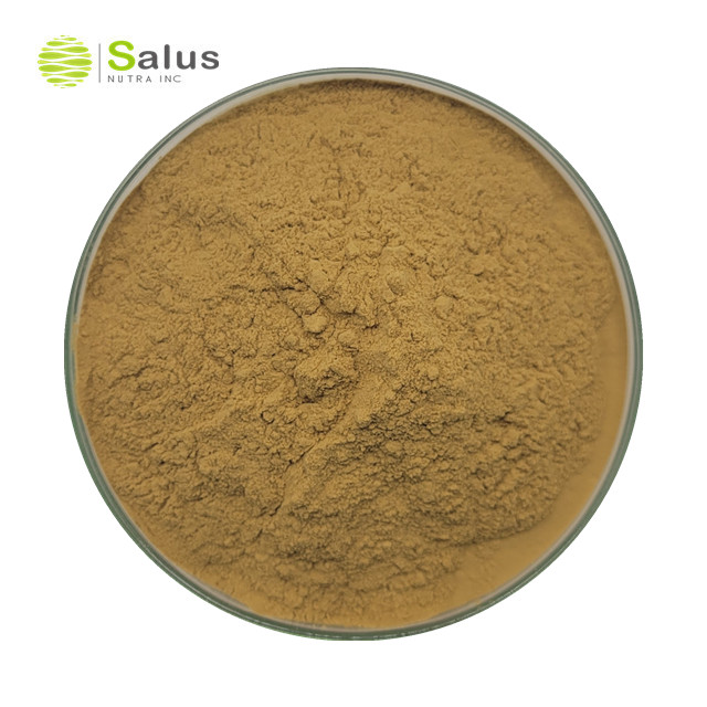 Coleus Forskohlii Extract