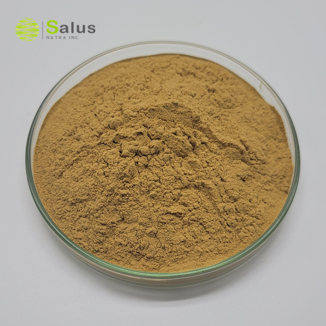 Coleus Forskohlii Extract