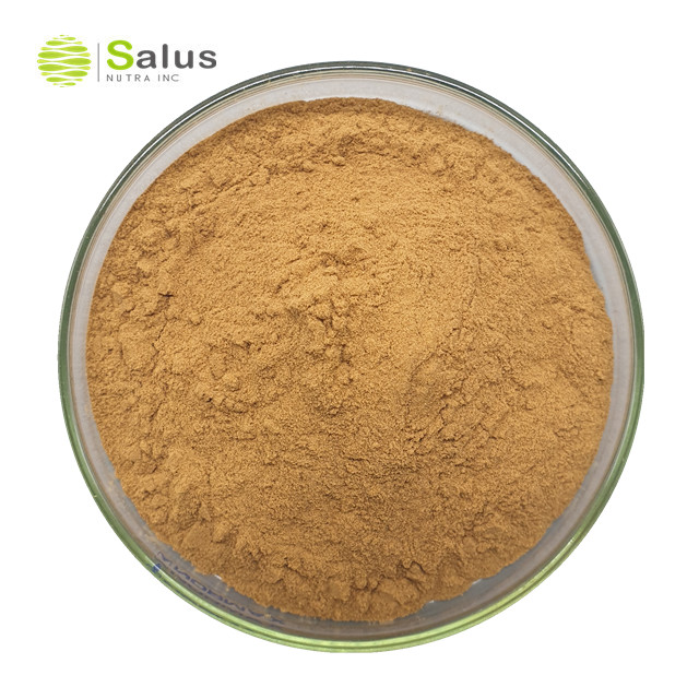 Flaxseed Extract