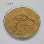 Ivy Leaf Extract