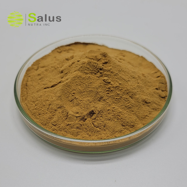 Lotus Leaf Extract