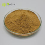 Lotus Leaf Extract