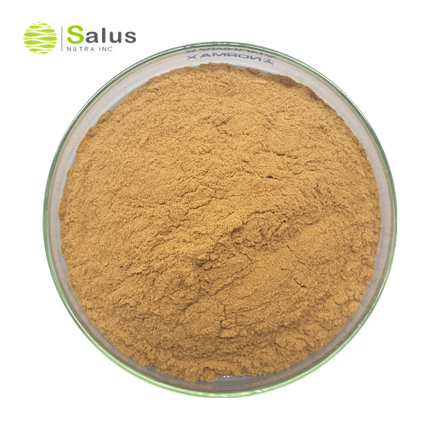 Mulberry Leaf Extract