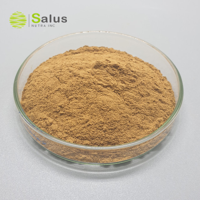 Mulberry Leaf Extract