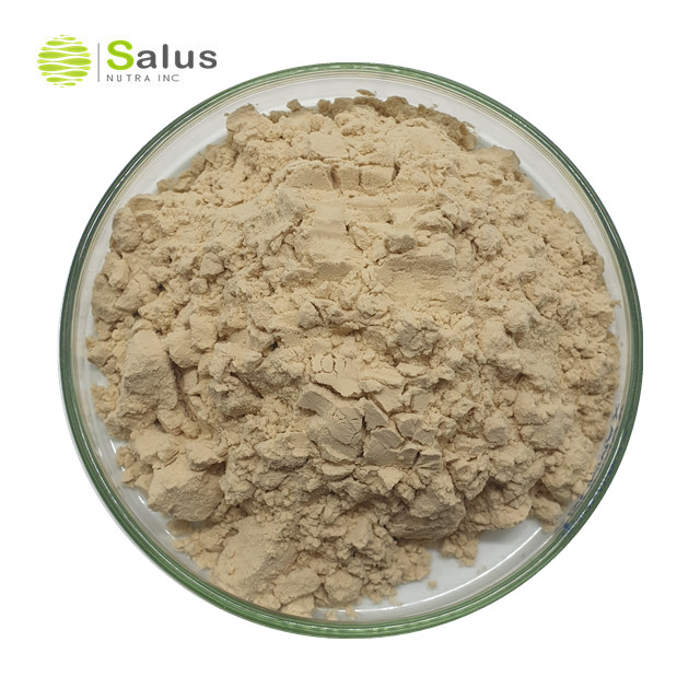 Oat Beta Glucan