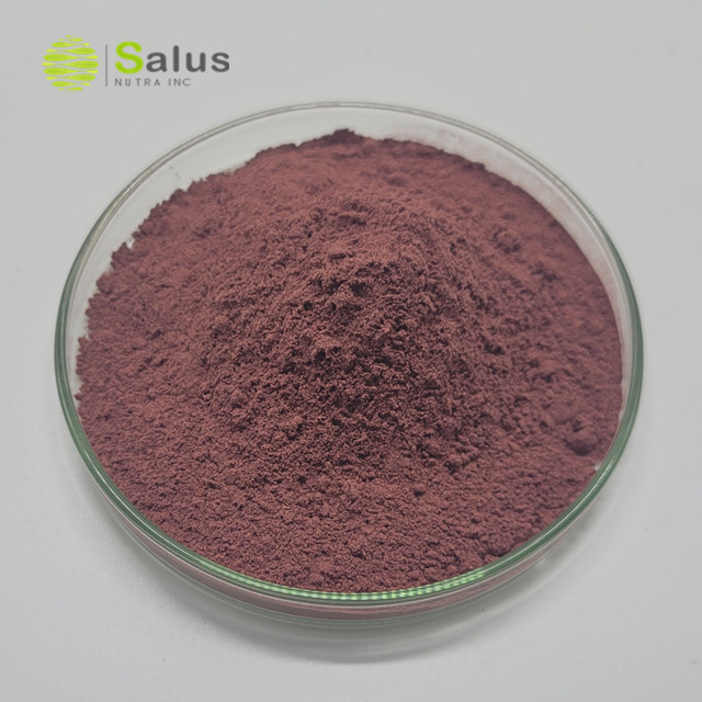 Red Yeast Rice Extract