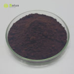 Broken Ganoderma Spore Powder