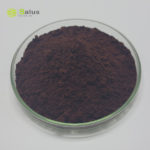 Broken Ganoderma Spore Powder